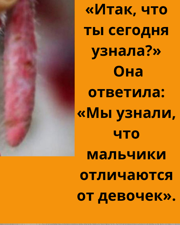 Отец смутился, когда дочь рассказала, что узнала в школе – но её рисунок всё изменил